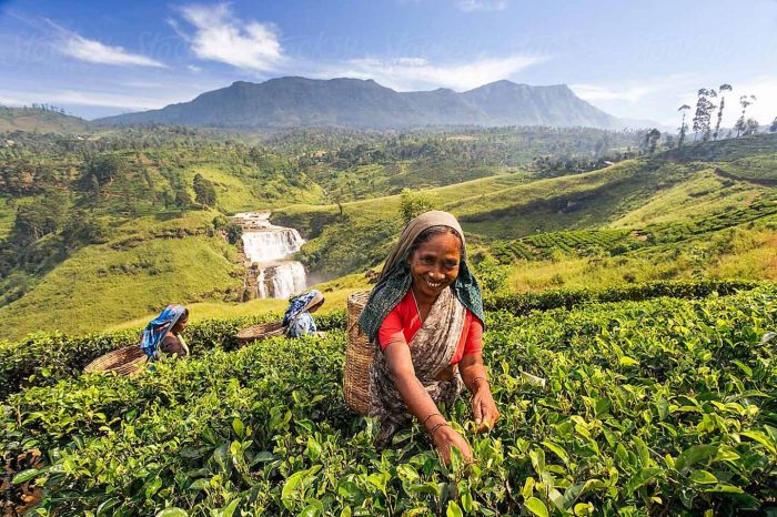 Sri Lanka